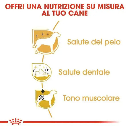 Royal Canin Barboncino Adult Croccantini per Cani Adulti