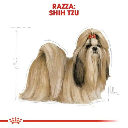 Royal Canin Shih Tzu Adult Croccantini per Cani Adulti