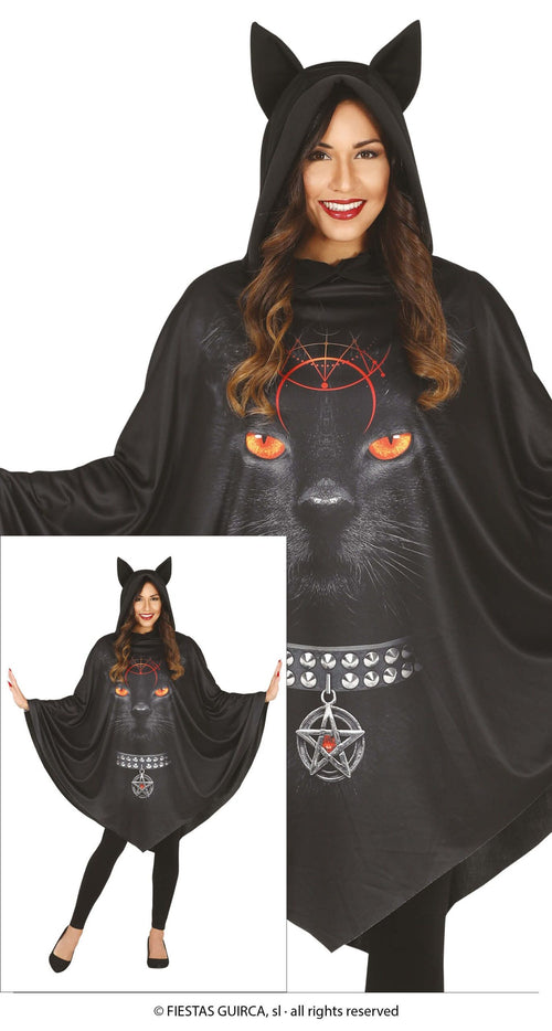 Poncho gatto