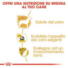 Royal Canin Yorkshire Terrier Adult Croccantini per Cani Adulti