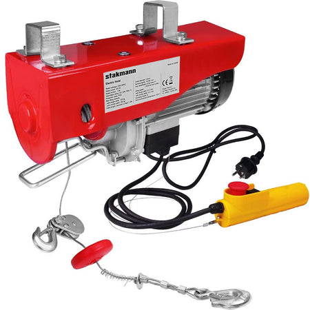 Paranco Elettrico Verricello Montacarichi 125/250kg Sollevatore 450Watt con Accessori