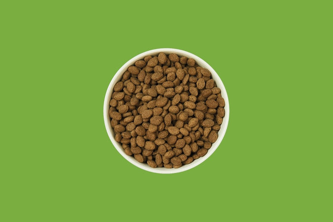 Lily's Kitchen Shepherd’s Pie Agnello e Patate per Cani