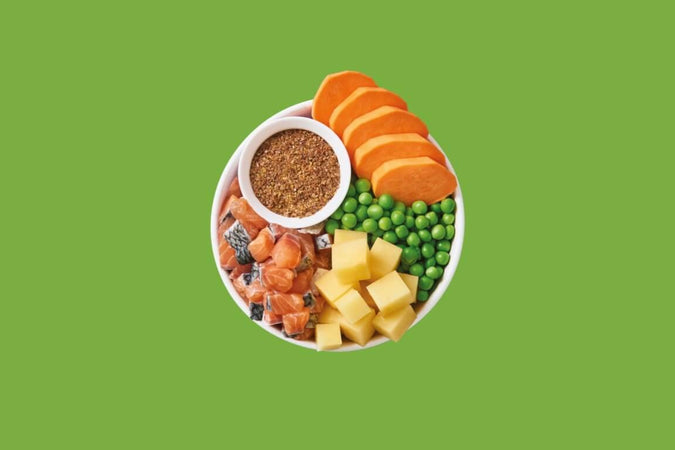 Lily's Kitchen Salmon Supper al gusto Salmone per Cani