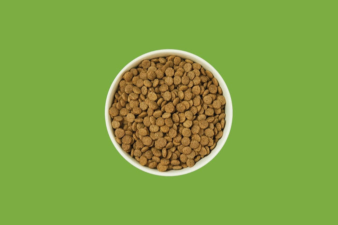 Lily's Kitchen Salmon Supper al gusto Salmone per Cani