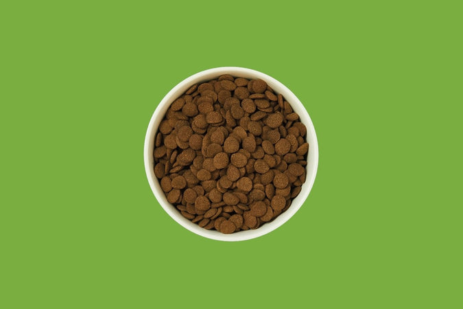 Lily's Kitchen Countryside Casserole al gusto Pollo Anatra e Patate per Cani