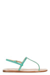 EDDY DANIELE Eddy Daniele - Infradito - 370636 - Turchese da donna