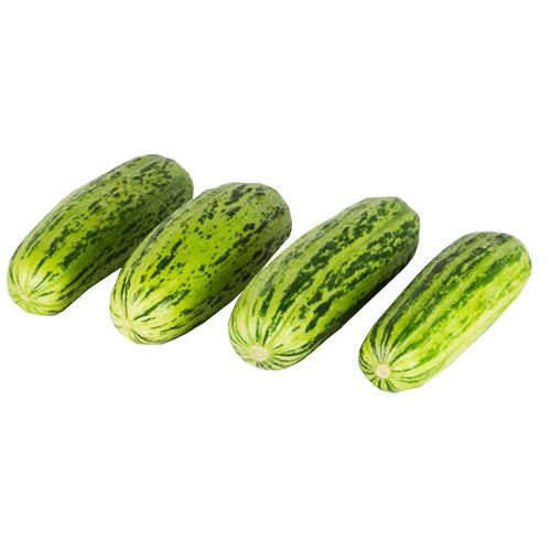 Semi di carosello Scopatizzo barese piante per orto e giardino