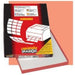 Cf100 etichette 210x297 rosso - 210C503RO