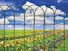 Rete Ornamentale per aiuole in metallo, maglia rettangolare 150 x 85 mm 25 mt