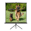 Tp new junior 240x240 - 1224NJ