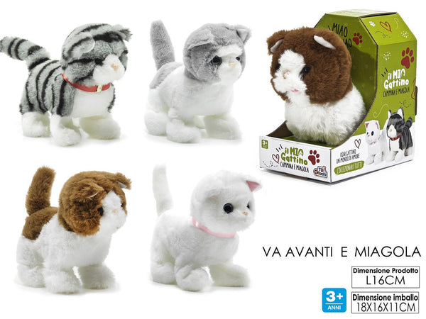 GATTO CAMMINANTE CON VOCE