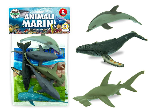 6 ANIMALI MARINI CON MAPPA