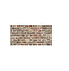 POLIMARK - PLASTONDA LASTRA POLIPROPILENEEFFETTO DECORATIVO DECOR LEGNO 50X100 MM 3 COD. 8010