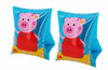 BRACCIOLI PIGGY