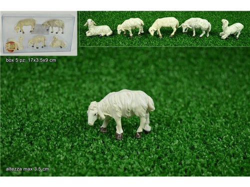 Pecorelle 5 modelli pvc box