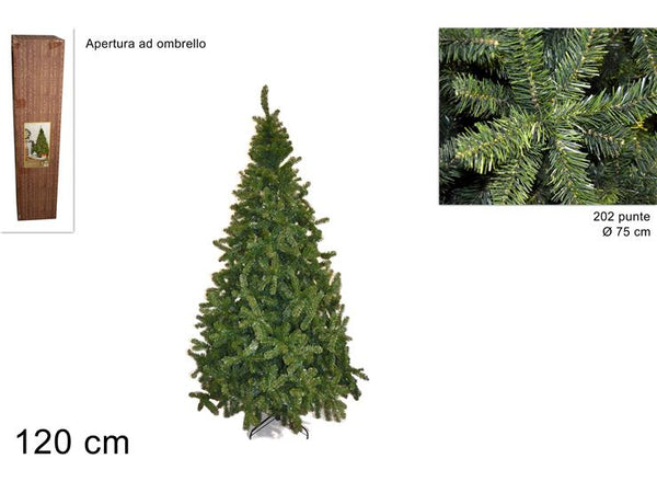 Pino Imperatore 120cm 202 Punte