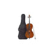 Violoncello 3/4 - completo di fodero in nylon, tracolla, tasche, archetto, ponte. - 200024