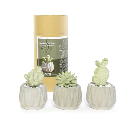 Diffusore di essenza in gesso pianta grassa da 100 mL ⌀10 x 15h cm con scatola regalo