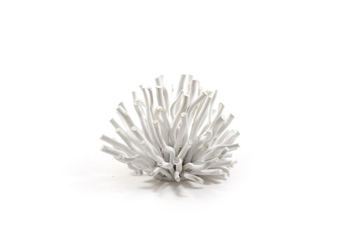 Scultura corallo bianca diam 22x17