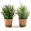 Rosmarino con vaso in terracotta, pianta artificiale decorativa h 28 cm