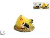 Nido con Gallina e Uova