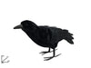 Corvo Decorazione Halloween