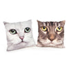 Cuscino 40x40cm Gatti Assortiti