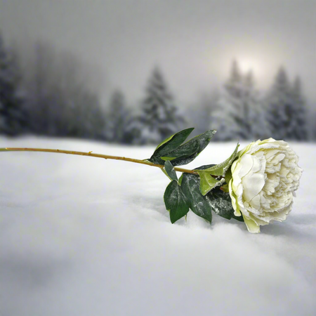 Fiore peonia innevata in tessuto decorazione ambienti h 70 cm