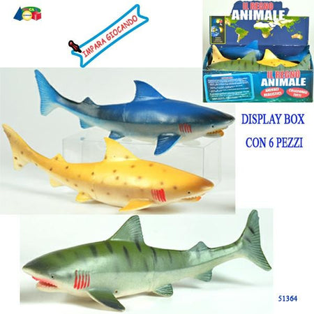 DISPLAY PESCECANE CM.22
