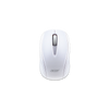 GP.MCE11.00Y mouse