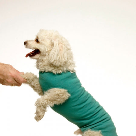 Body Veterinario Post Operatorio per cani