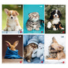 Maxiquaderno A4 40Fg+2 80Gr 5Mm C/Marigne Cute Bm
