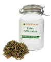 Tisana erba Spaccapietra per calcoli renali, depurativo infuso 50g 100g