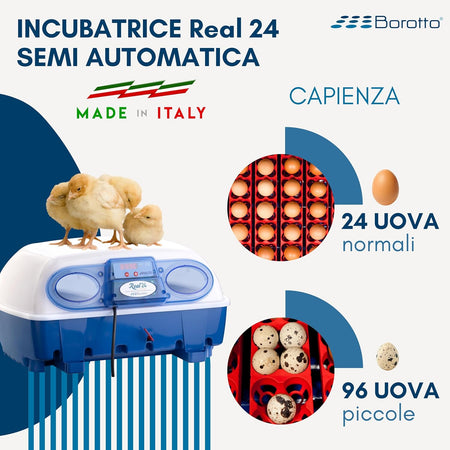 Borotto REAL 24 Semi Automatica - Incubatrice Professionale Brevettata, con Girauova a Levetta - per 24 Uova o 96 Uova Piccole