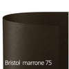 Conf.10 Cartoncino Bristol Color 200Gr 100X70Cm Marrone 75 Favini