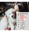 Yuup Christmas Shampoo per Cani 250ml