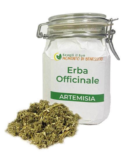 Tisana di Artemisia per la febbre, gastrite infuso da 50g e 100g