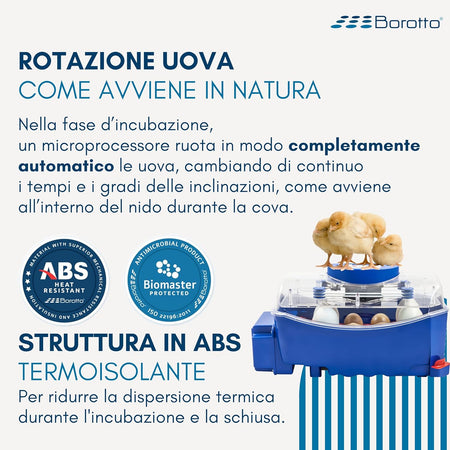 Borotto LUMIA 56 Automatica - Incubatrice per Uova Professionale Brevettata, con Girauova Automatico - per 56 Uova Medio/Grandi