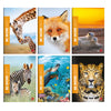 Maxiquaderno A4 36Fg+2 100Gr 10Mm Wild Be More Bm