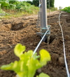 Trapiantatore Multiplanter manuale per tuberi e piantine Made in Italy