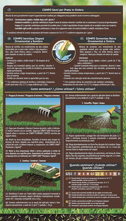Seme "Prato in Ombra" tappeto erboso per zone ombreggiate da alberi e piante