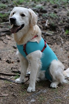 Body Veterinario Post Operatorio per cani