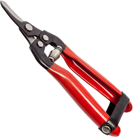 Forbici cogli agrumi con lama curva per raccolta uva e frutteto 16 cm