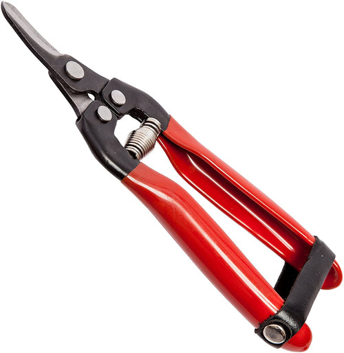 Forbici cogli agrumi con lama curva per raccolta uva e frutteto 16 cm