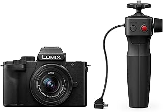 Panasonic Lumix G DC-G110VEG-K - Fotocamera di sistema (set in DC-G110 con obiettivo 12-32 mm e impugnatura per treppiede DMW-SHGR1)