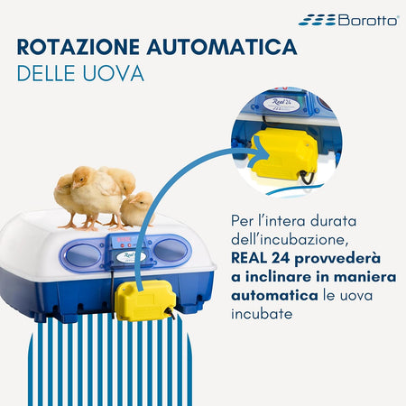 Borotto REAL 24 Expert - Incubatrice Automatica Professionale Brevettata, con Umidificatore Automatico Sirio - per 24 Uova o 96 Uova Piccole