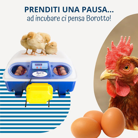 Borotto REAL 24 Automatica - Incubatrice per uova automatica Professionale Brevettata, con Girauova Automatico - per 24 Uova o 96 Uova Piccole