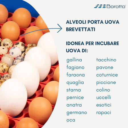 Borotto LUMIA 56 Expert - Incubatrice per uova Professionale Brevettata, Materiale Termoisolante con Antibatterico, con Umidificatore Automatico Sirio - per 56 Uova Medio/Grandi o 224 Uova Piccole