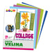 Busta Di Carta Velina 25Fg 50X76Cm 5 Colori Freddi Assortiti Deco