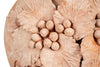 Biscottini Vaso Conca giara in terracotta toscana 100% Made in Italy interamente Lavorata a Mano L38xPR38xH80 cm